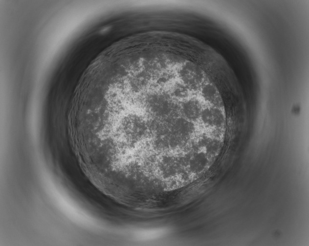 X0000114410765200911271526