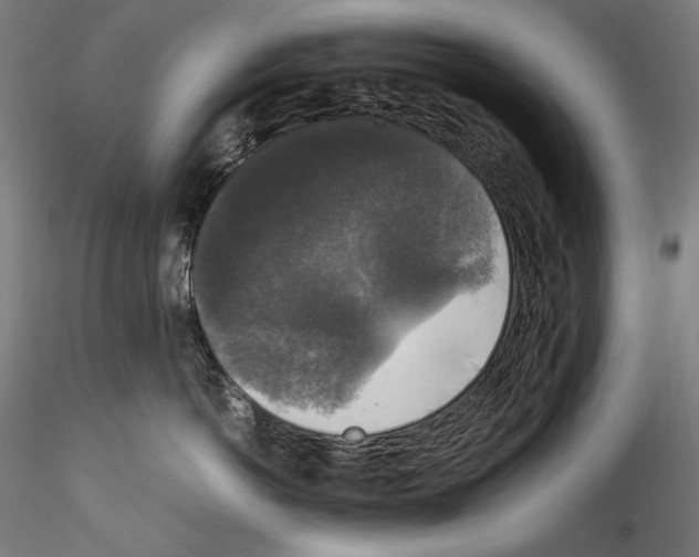 X0000114410766200911271526