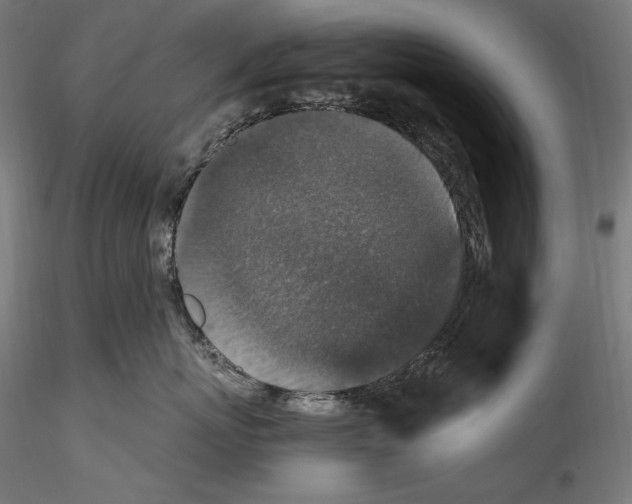 X0000114410767200911271526