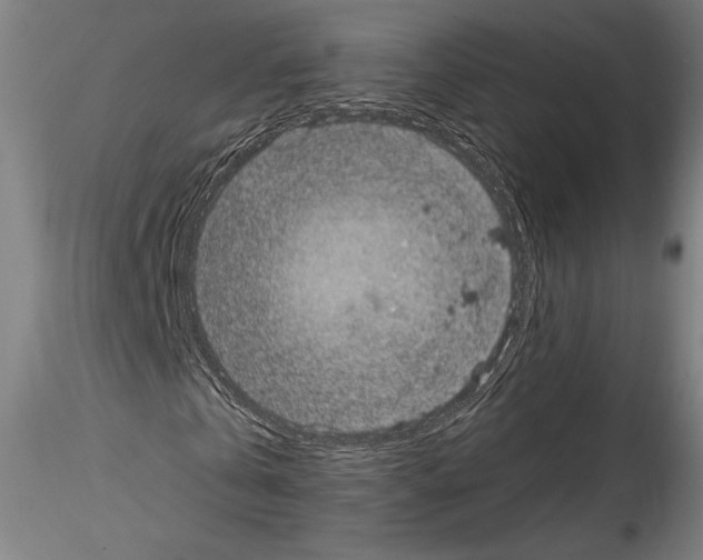 X0000114410769200911271525