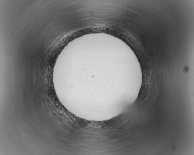 X0000114410773200911271525