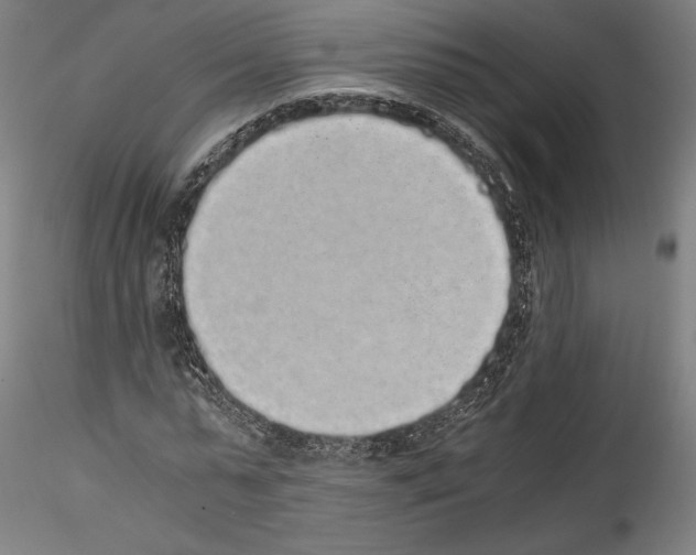 X0000114410775200911271525