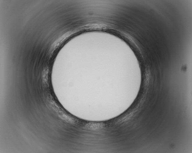 X0000114410778200911271525