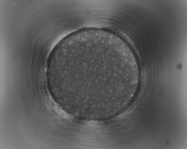 X0000114410779200911271525