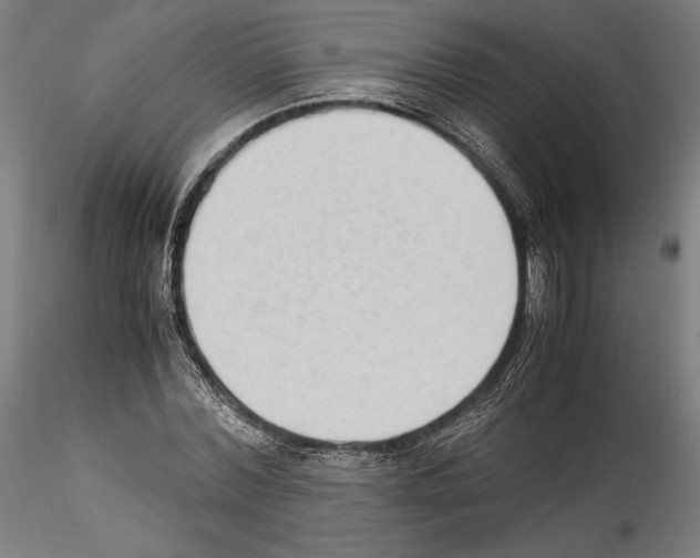 X0000114410780200911271525