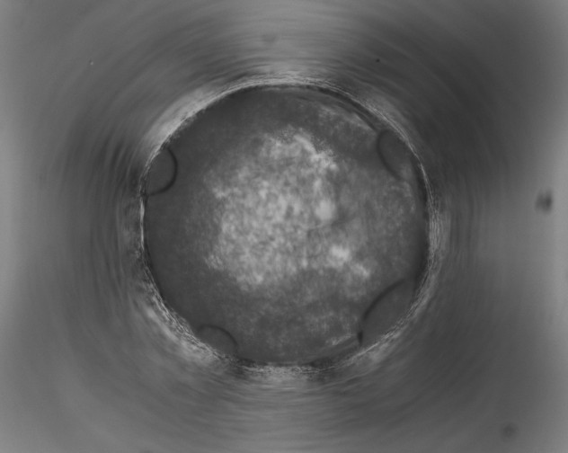 X0000114410781200911271525