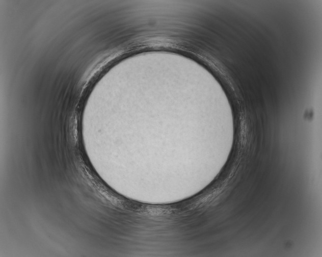 X0000114410782200911271525