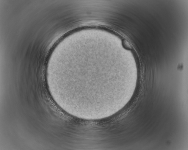 X0000114410783200911271525