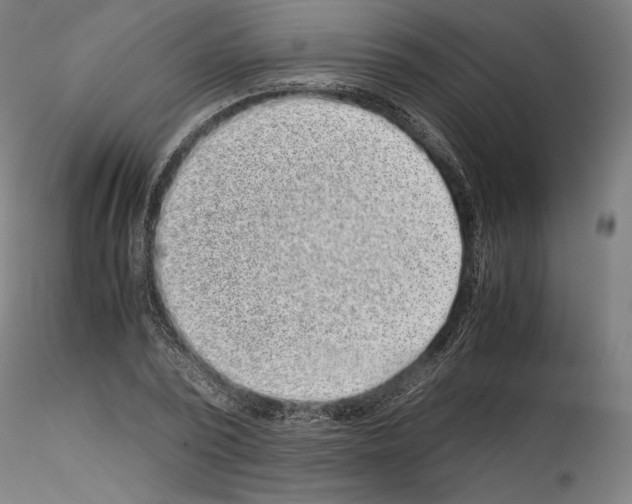 X0000114410784200911271525