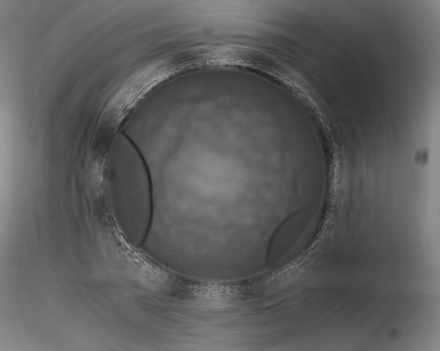 X0000114410785200911271525