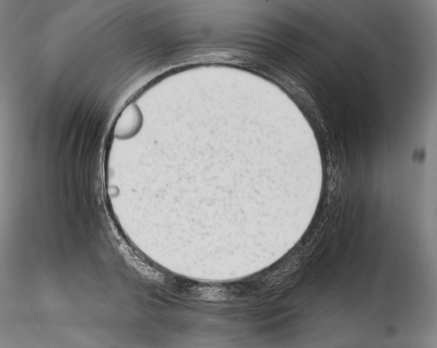 X0000114410792200911271525