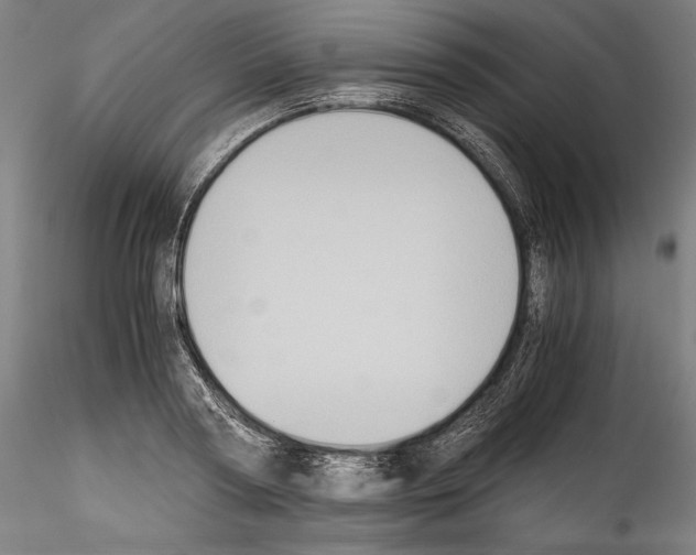 X0000114410794200911271525