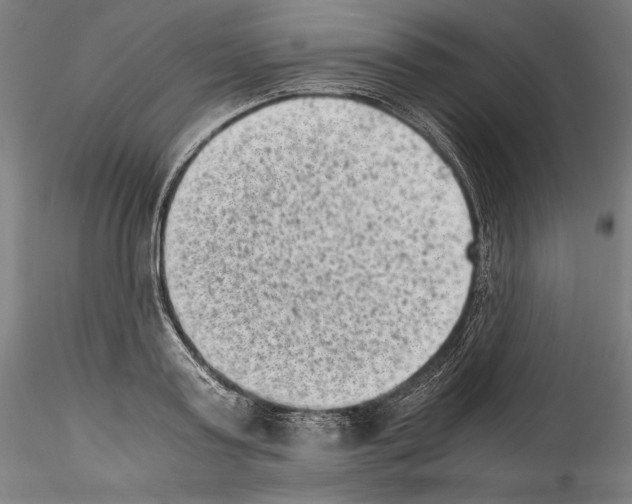 X0000114410795200911271525