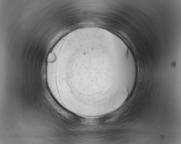 X0000114410796200911271525