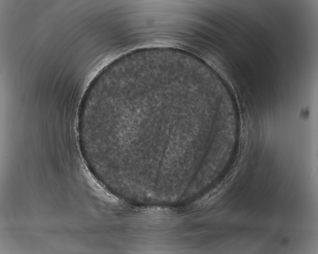 X0000114410797200911271525