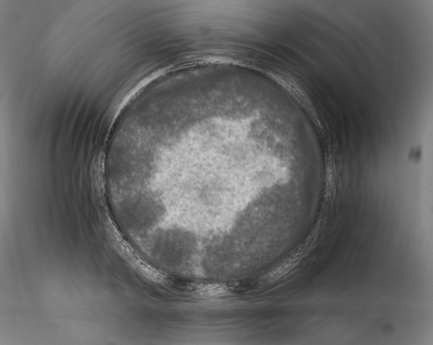 X0000114410798200911271525