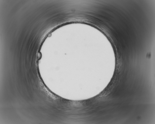 X0000114410799200911271525