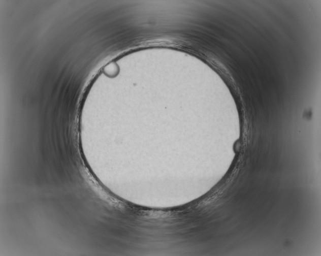 X0000114410800200911271525