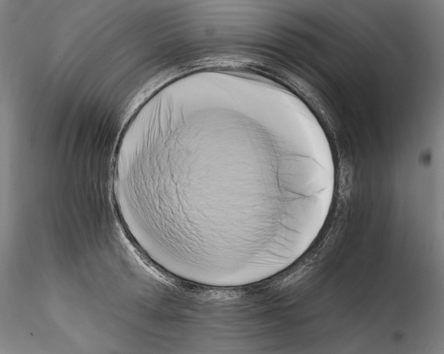 X0000114410802200911271525