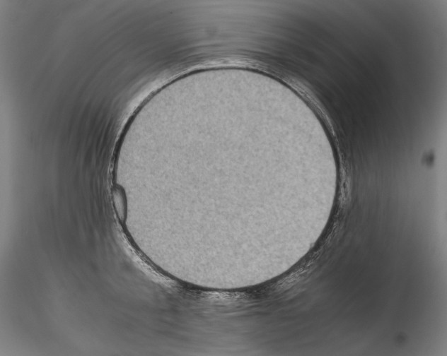 X0000114410805200911271525