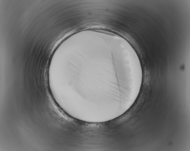 X0000114410806200911271525