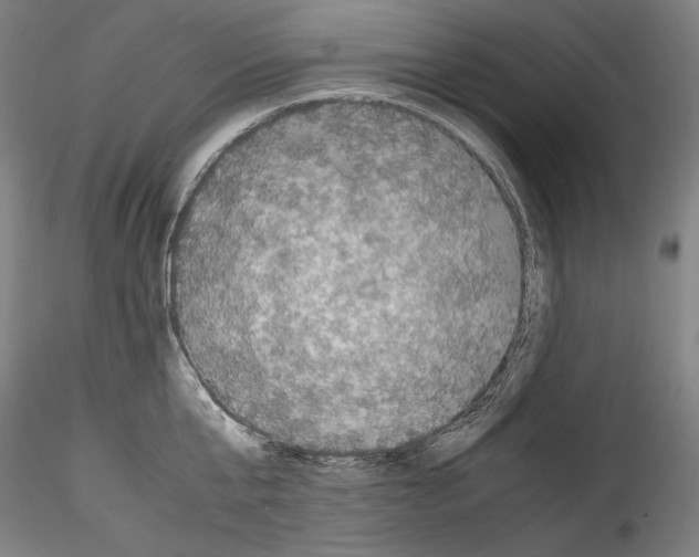 X0000114410807200911271525