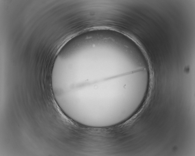 X0000114410809200911271525