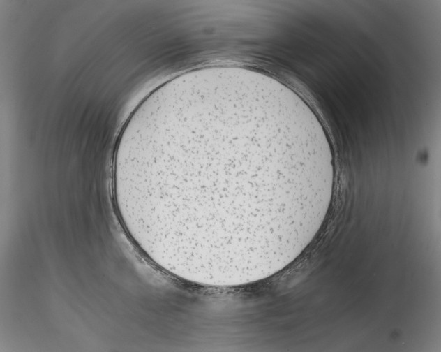 X0000114410811200911271525