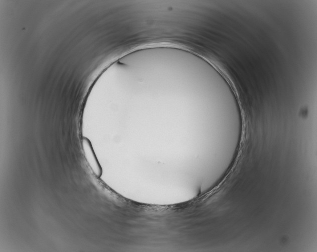 X0000114410813200911271525