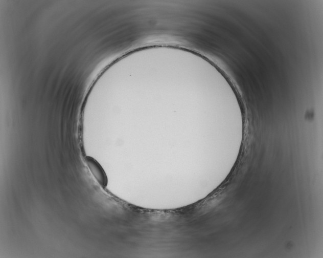 X0000114410815200911271525