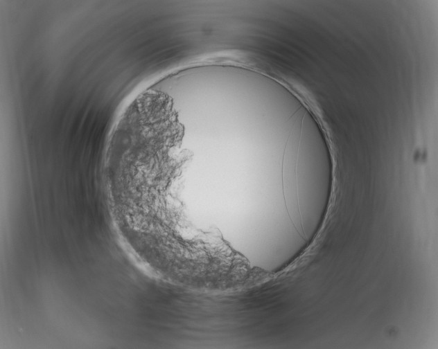 X0000114410816200911271524