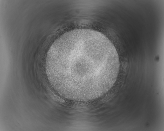 X0000114410817200911271524