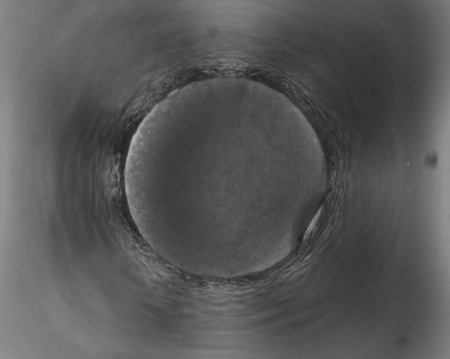 X0000114410818200911271524