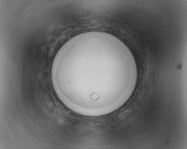 X0000114410820200911271524