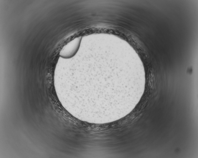 X0000114410821200911271524