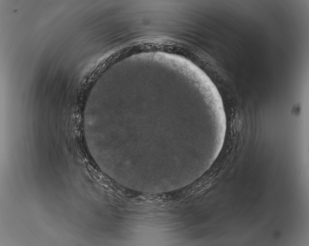 X0000114410822200911271524