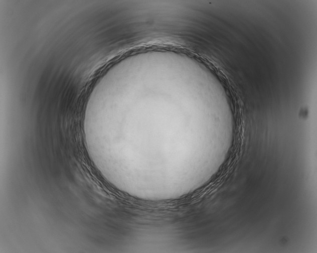 X0000114410824200911271524