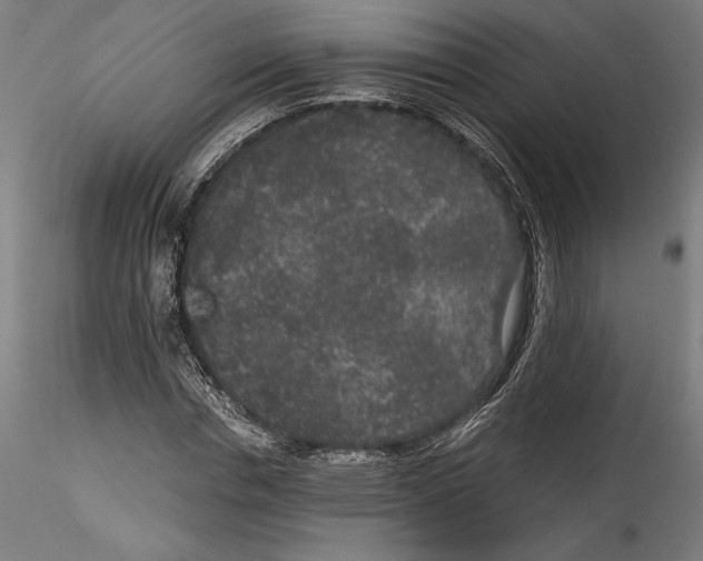 X0000114410826200911271524