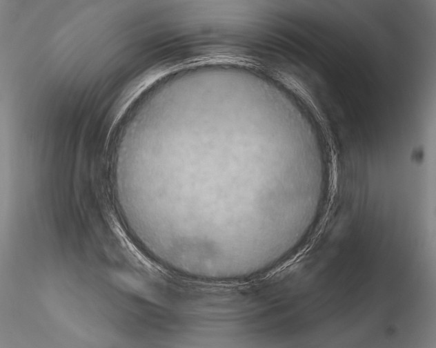 X0000114410828200911271524