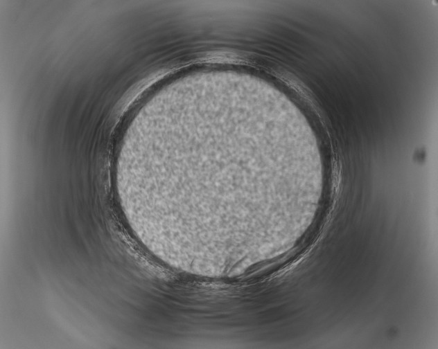 X0000114410829200911271524