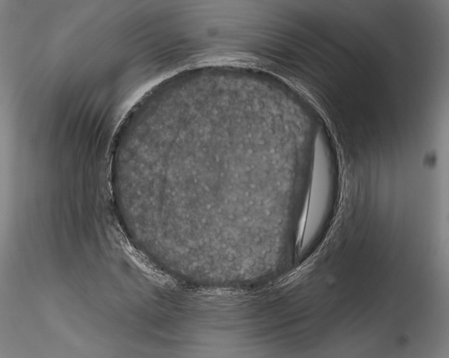 X0000114410830200911271524