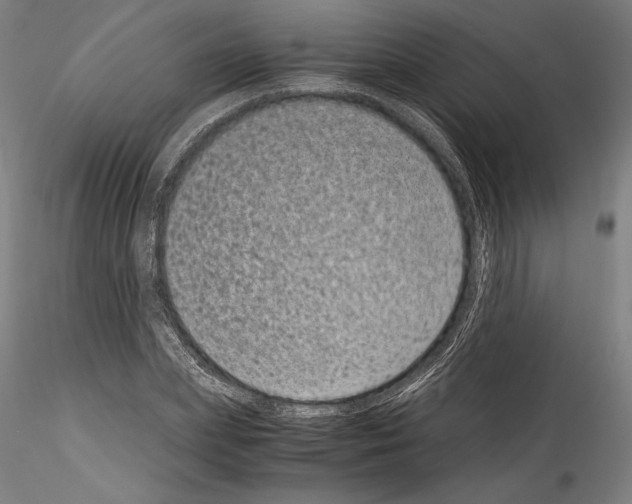 X0000114410831200911271524