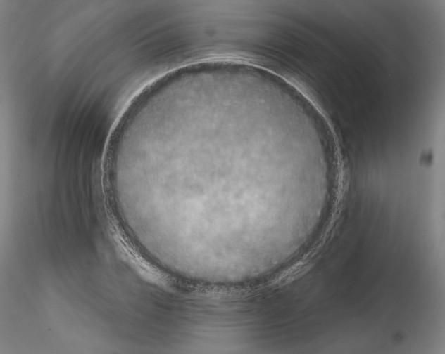 X0000114410832200911271524