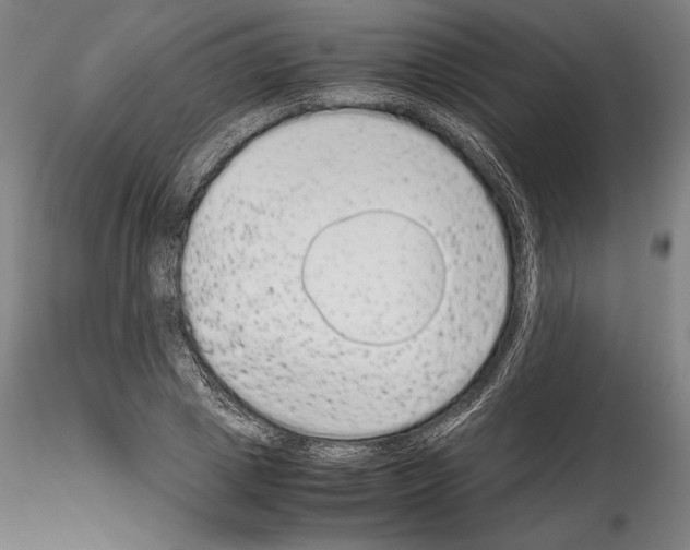 X0000114410833200911271524