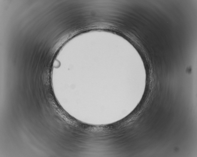 X0000114410834200911271524