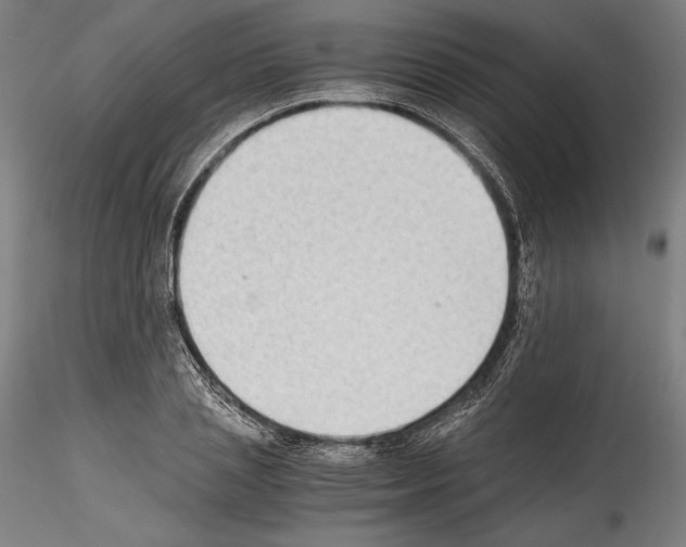 X0000114410837200911271524