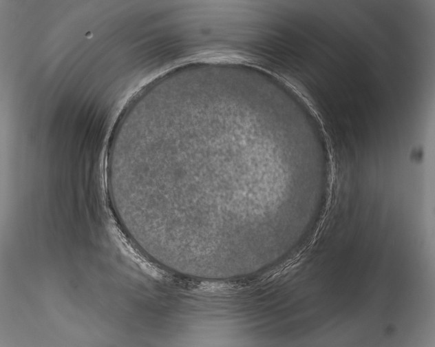 X0000114410840200911271524