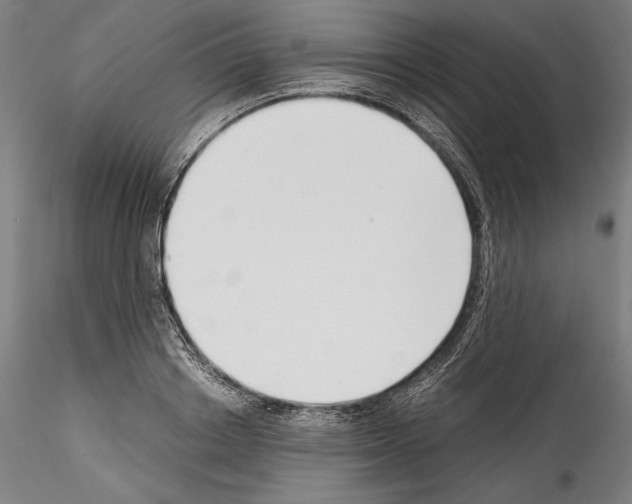 X0000114410842200911271524