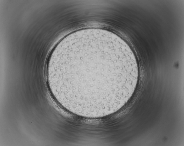 X0000114410843200911271524