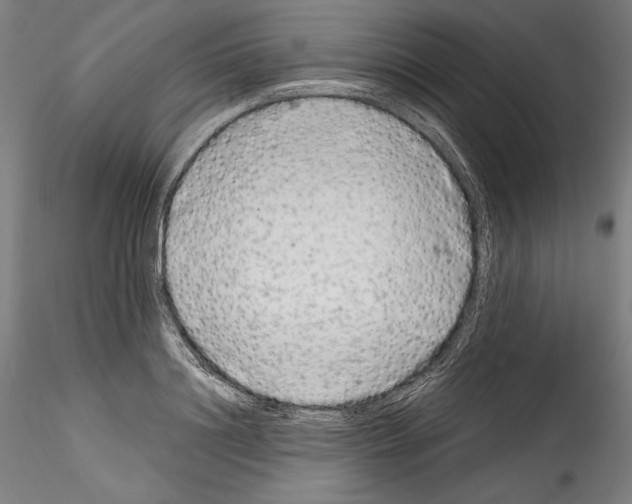 X0000114410844200911271524